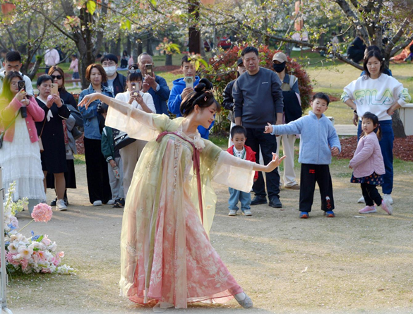 清明假期期間，上海顧村公園櫻花島上，游客在觀賞國風漢服快閃表演。（圖片來源：視覺中國）
