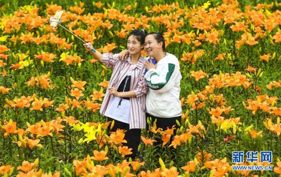 （社會）（4）黑龍江伊春：消夏旅游熱